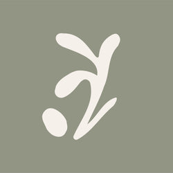 Oriwa Store